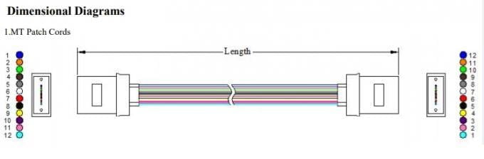 MT-MT patch cord for QSFP Module Struture