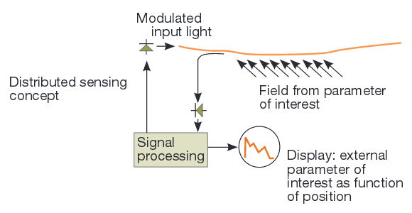 Distributed Sensing Concept