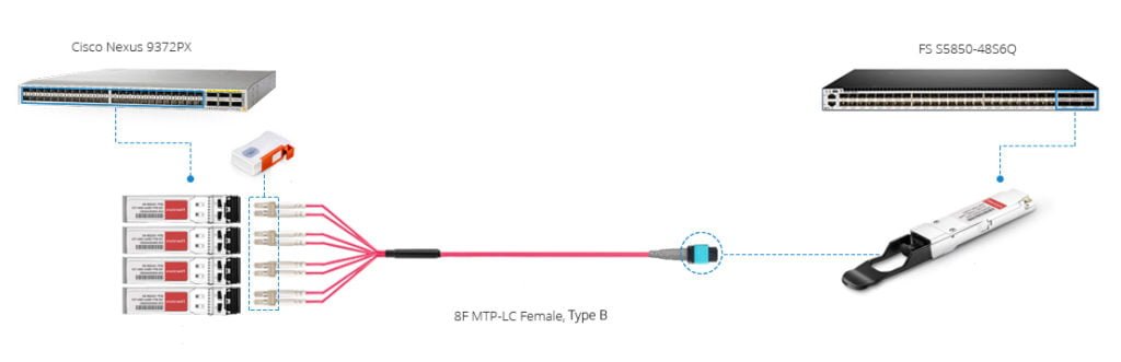 40G MTP breakout cable link