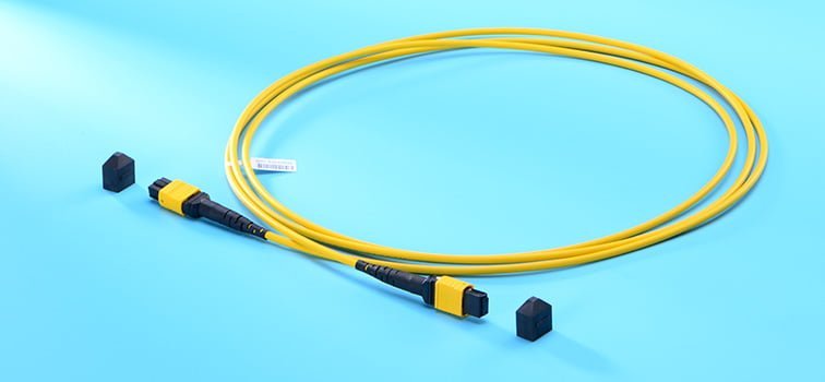 MTP/MPO trunk cable