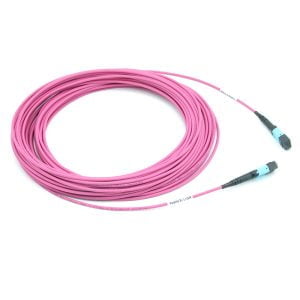 12 Fiber MTP To MTP OM4 Trunk Cable Price & Datasheet