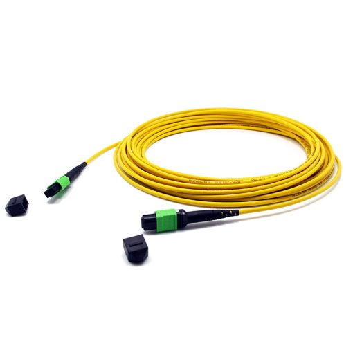 MTP to MTP Female 24 Fibers Singlemode MTP Trunk Cable 3.0mm LSZH Custom Meters