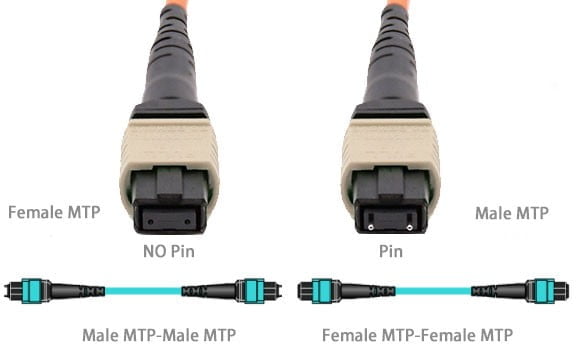 12 Fiber MTP To MTP OM4 Trunk Cable Price & Datasheet