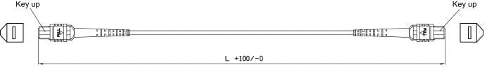 MTP to MTP Female OM4 12F MTP Trunk Cable Drawing